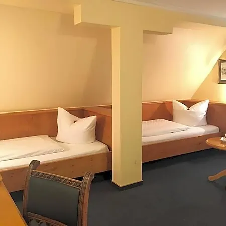 Hotel Stadthotel Waldhorn 3*
