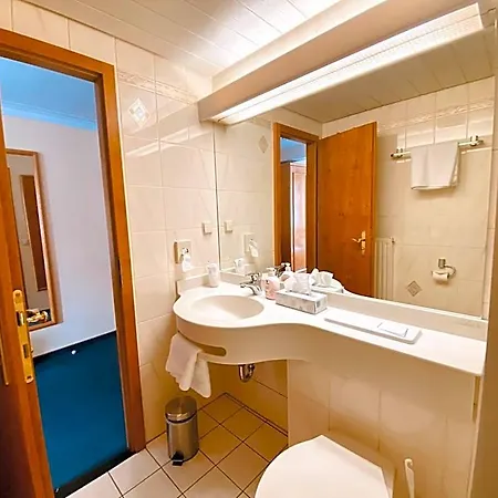 Ξενοδοχείο Stadthotel Waldhorn 3*