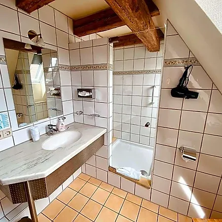 Stadthotel Waldhorn 3* Kirchheim unter Teck