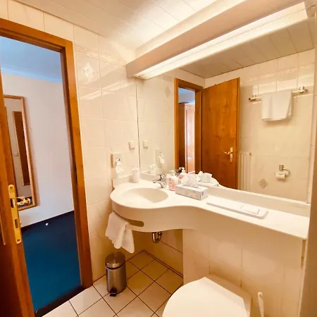 Hotel Stadthotel Waldhorn