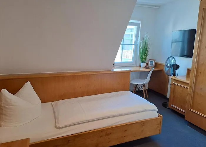 Stadthotel Waldhorn Hotel 3*